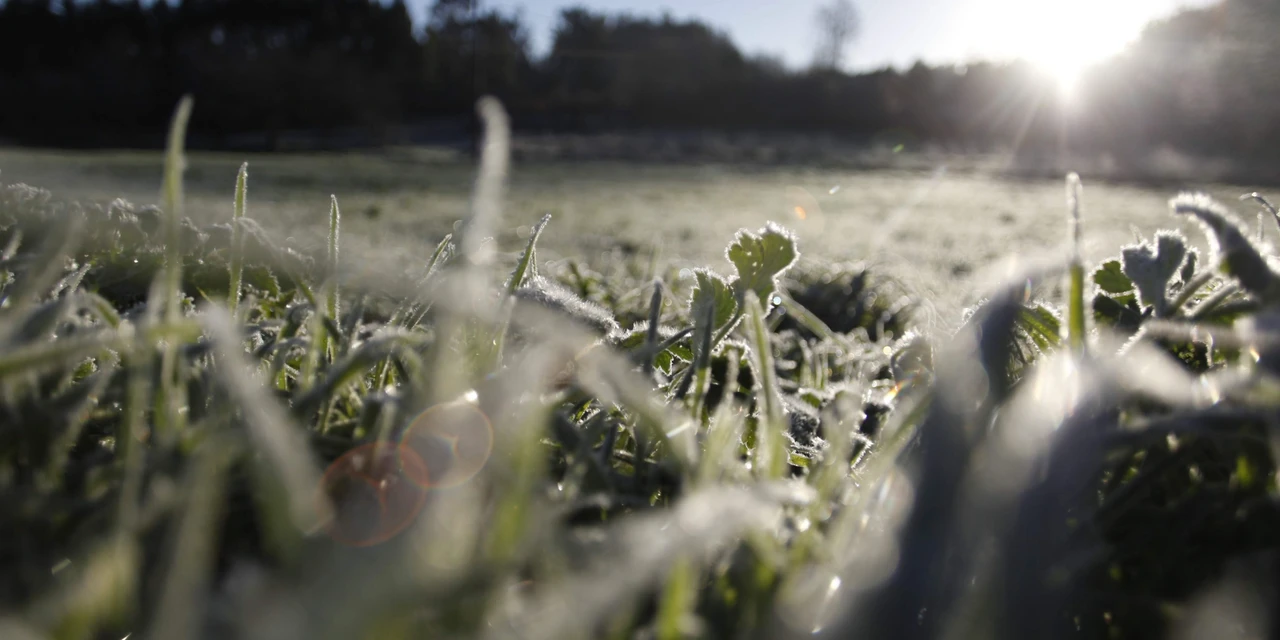 Ponta Grossa registra temperatura de -1°C na madrugada mais fria do ano
