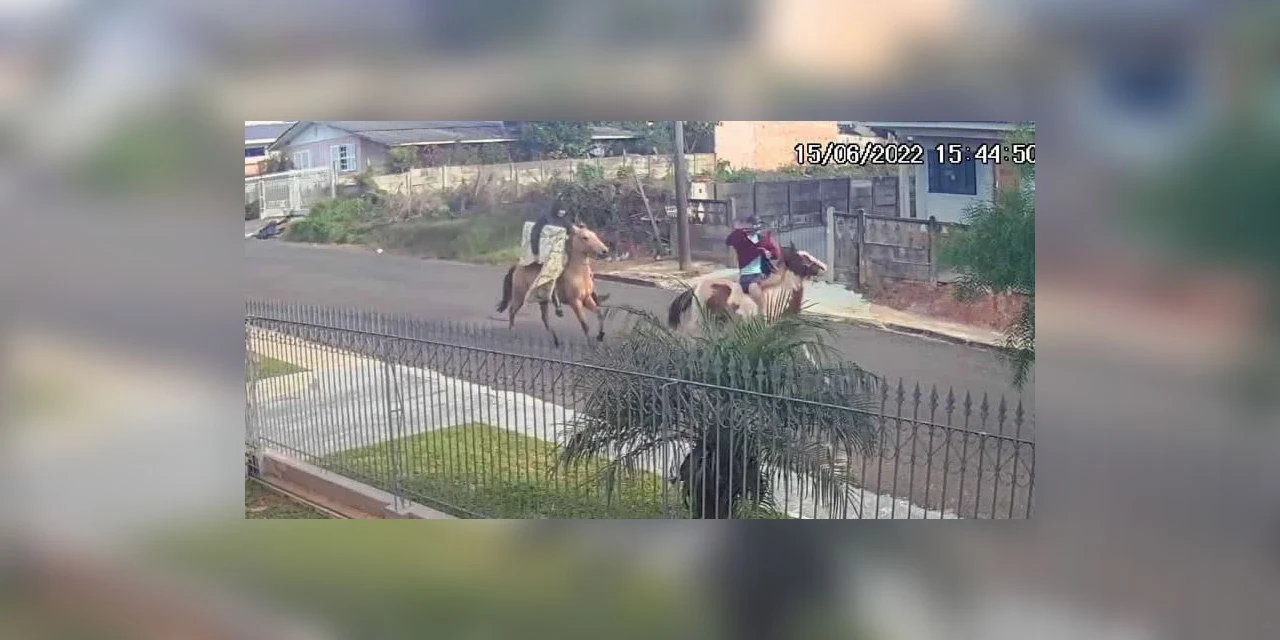 Montado a cavalo, ladrões invadem residências em PG