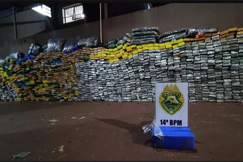 Policia apreende mais de uma tonelada de maconha em Foz do Iguaçu