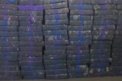 Após troca de tiros com traficantes, PM apreende 1  tonelada de maconha e um suspeito morre