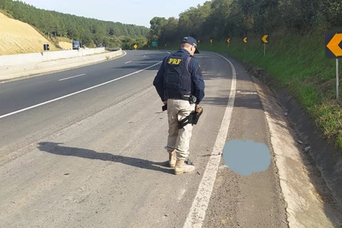 Cabeça humana é encontrada as margens de rodovia, em Tibagi