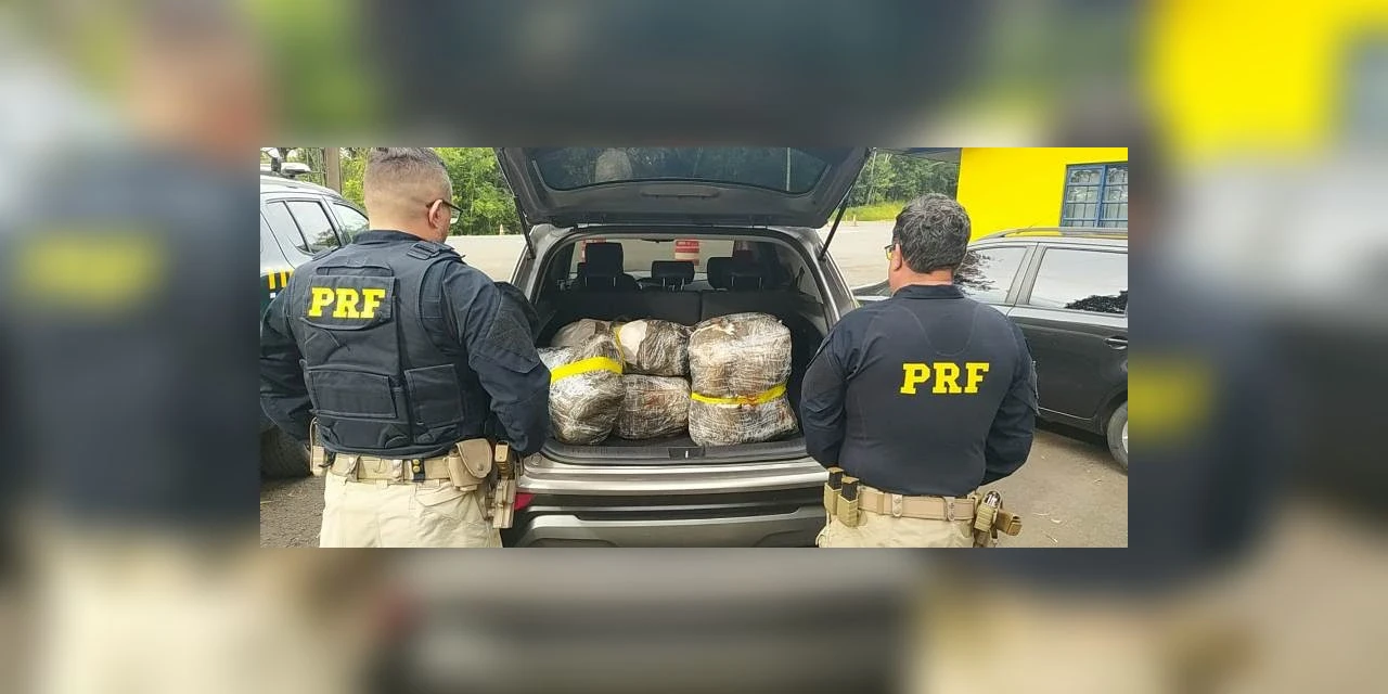 PRF prende 3 pessoas com 51 Kg de haxixe em Ponta Grossa