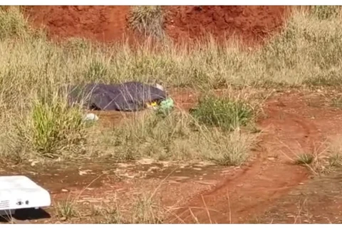 Corpo de jovem é encontrado com ferimento no crânio em Vila de PG