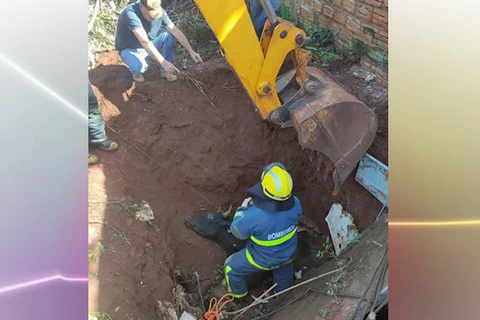 Bombeiros resgatam boi que caiu em poço de 6 metros, em Foz do Iguaçu