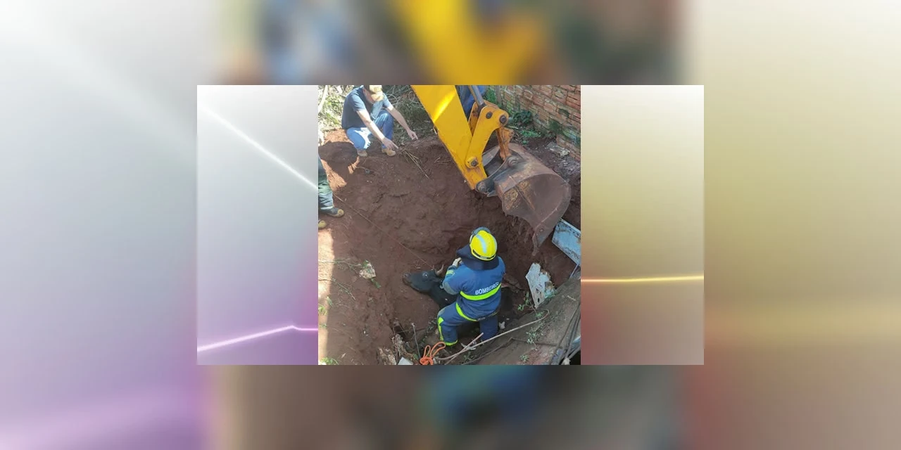 Bombeiros resgatam boi que caiu em poço de 6 metros, em Foz do Iguaçu