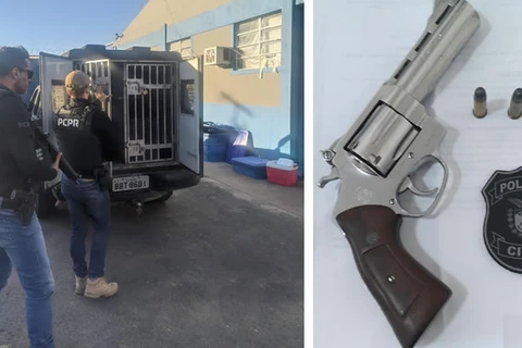 Operação da Policia Civil prende cinco pessoas por estupro, violência domestica e roubo