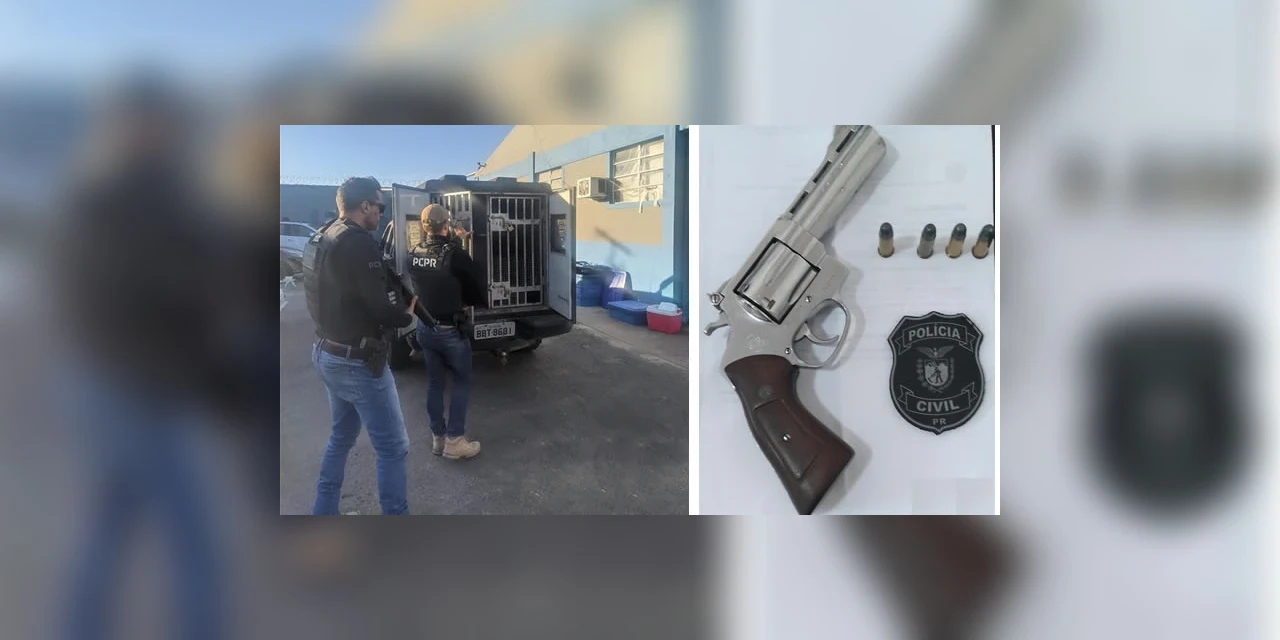 Operação da Policia Civil prende cinco pessoas por estupro, violência domestica e roubo