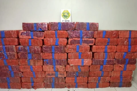 Policia Militar apreende cerca de uma tonelada de maconha em PG