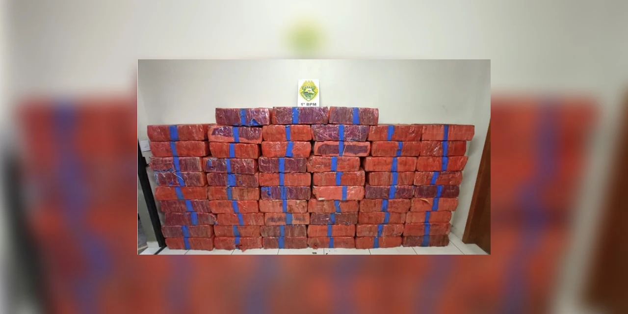 Policia Militar apreende cerca de uma tonelada de maconha em PG