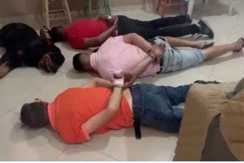 Vídeo: Cachorro 'se rende' junto com presos em operação contra trafico em SP