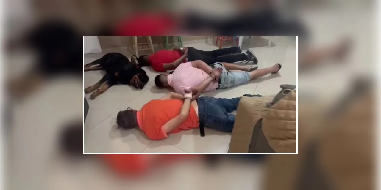 Vídeo: Cachorro 'se rende' junto com presos em operação contra trafico em SP