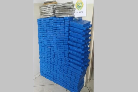 Policia Militar apreende mais de 300 quilos de maconha no interior de Palmeira