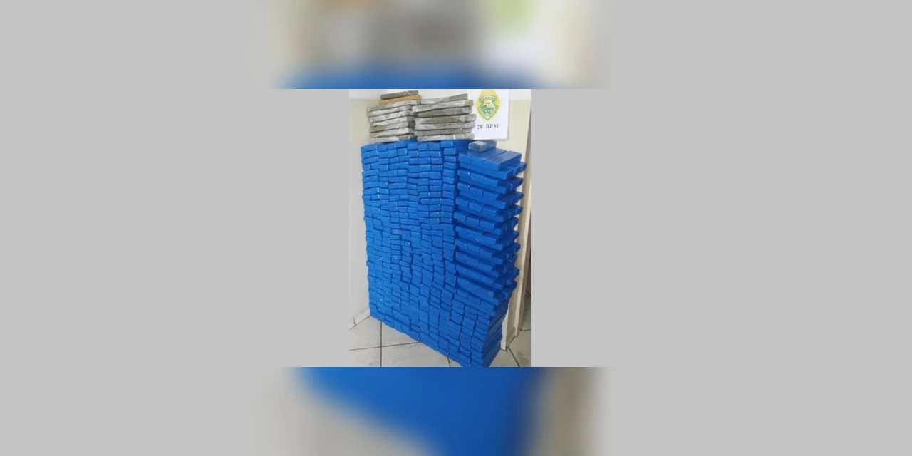 Policia Militar apreende mais de 300 quilos de maconha no interior de Palmeira