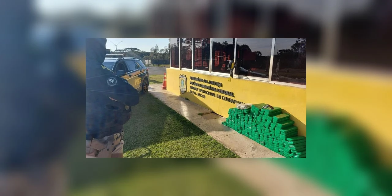 Mais de 230 quilos de droga que seriam levados para Paraíba são apreendidos pela PRF