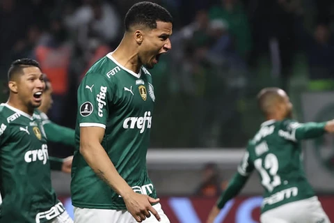 Palmeiras supera o Galo nos pênaltis e vai à semifinal da Libertadores