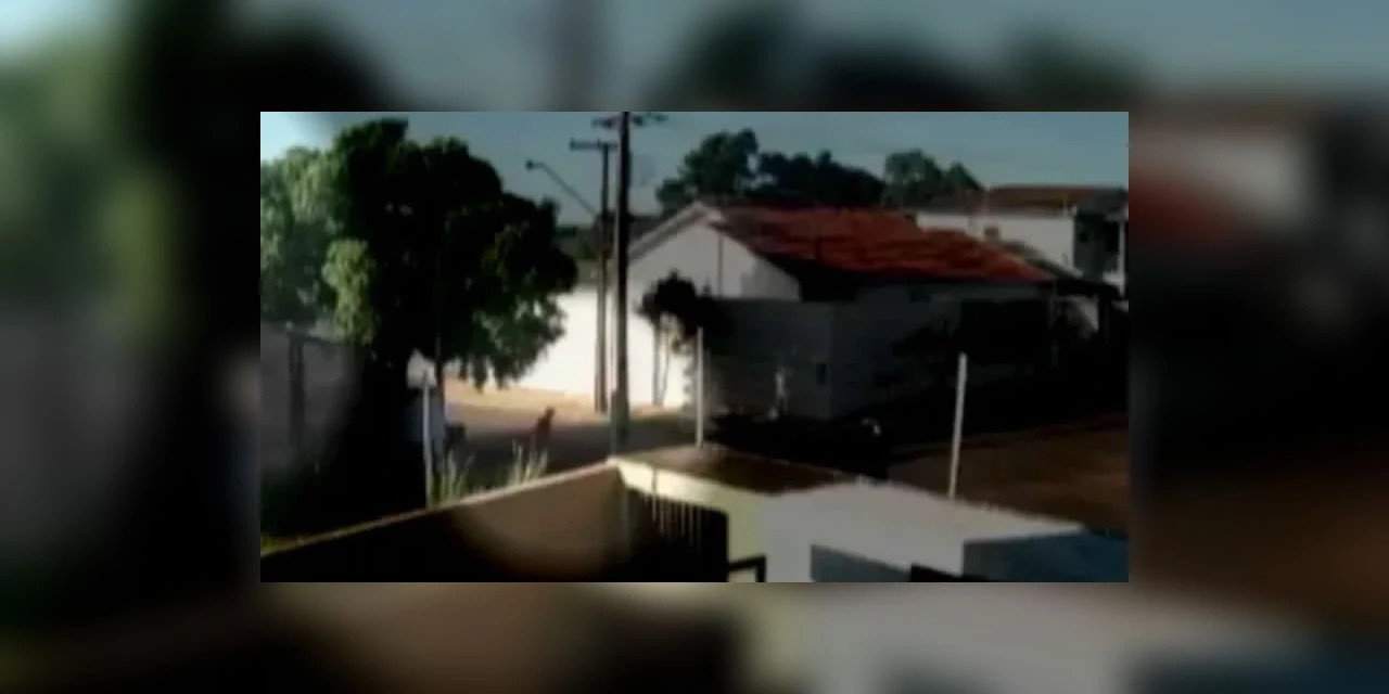 Homem denunciado por matar e atear fogo no corpo da mulher é condenado a 35 anos de prisão