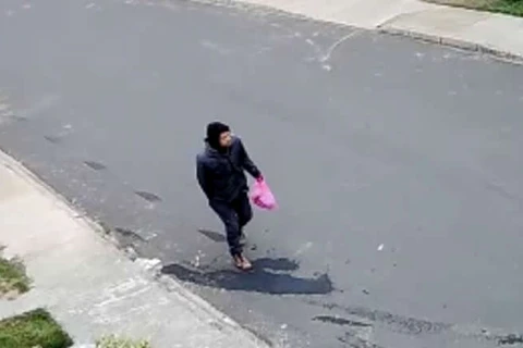 Câmera de segurança flagra furto a residência em Ponta Grossa