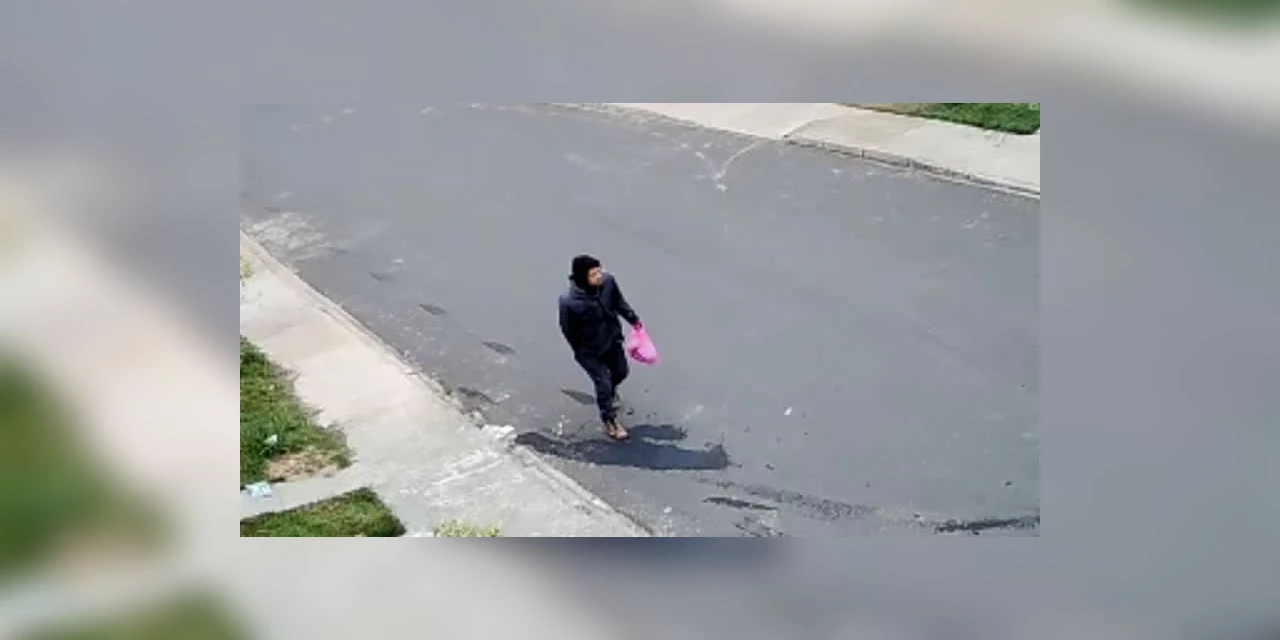 Câmera de segurança flagra furto a residência em Ponta Grossa