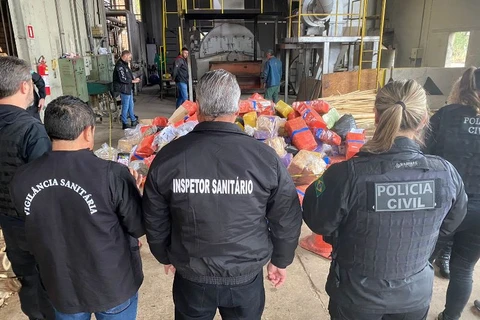 Polícia Civil incinera quase 3 toneladas de drogas apreendidas em PG e região