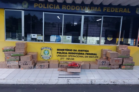 PRF apreende 1,2 toneladas de maconha durante fiscalização na BR-277, em Irati