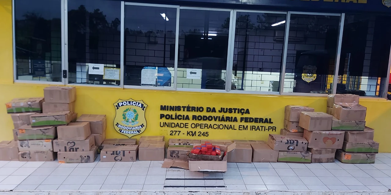 PRF apreende 1,2 toneladas de maconha durante fiscalização na BR-277, em Irati