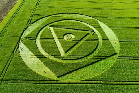 Desenho misterioso aparece em plantação de trigo em SC