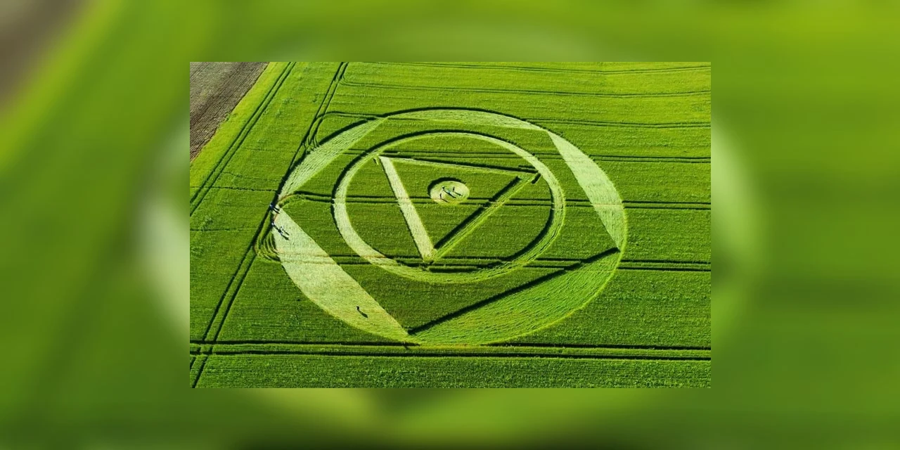 Desenho misterioso aparece em plantação de trigo em SC