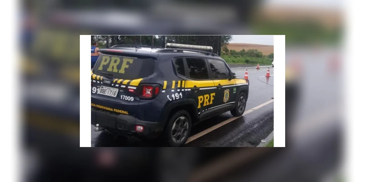 Pedestre sem identificação morre atropelado na BR-277, em Palmeira
