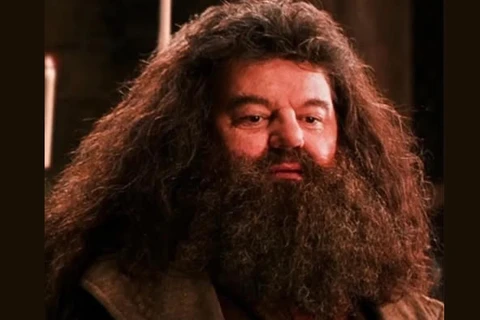 Ator Robbie Coltrane, que interpretou Hagrid em 'Harry Potter', morre aos 72 anos