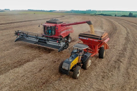 Agronegócio responde por 80% das exportações paranaenses, aponta documento do Deral