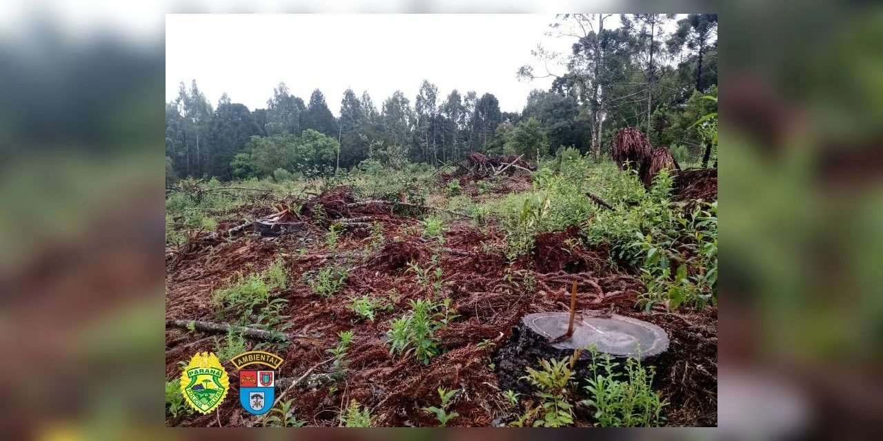 Proprietário é autuado em R$ 105 mil reais por desmatamento em São João do Triunfo