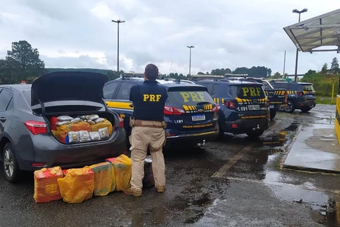 Após perseguição PRF apreende mais de 500kg de drogas, em Palmeira