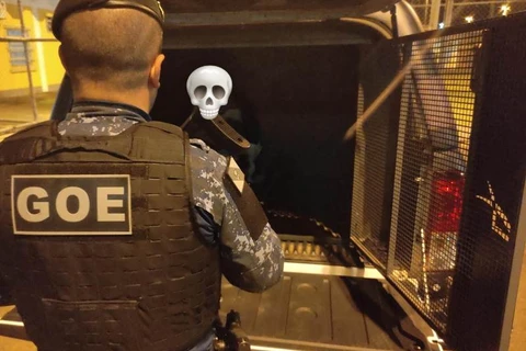 GCM prende homem com mandado de prisão no centro de PG