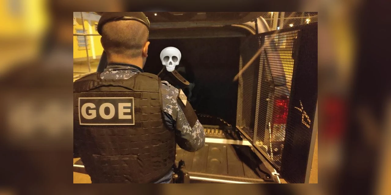 GCM prende homem com mandado de prisão no centro de PG