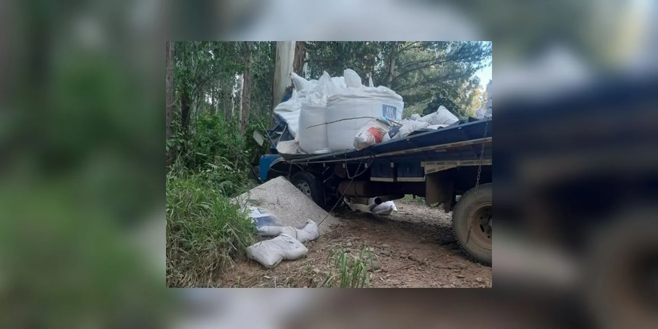 Motorista de caminhão morre após bater de frente em árvore em Ivaí