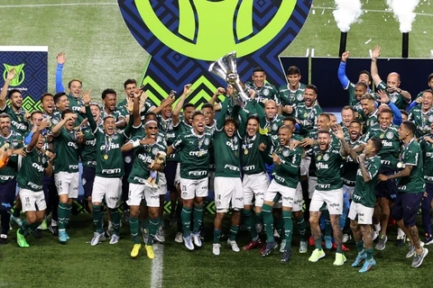 Palmeiras bate América-MG de virada no jogo da taça
