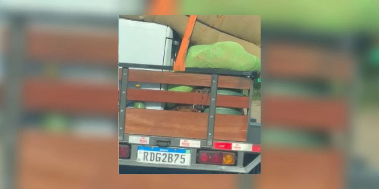 Maus-tratos: cachorro é transportado embaixo de móveis em carro de mudança; assista!