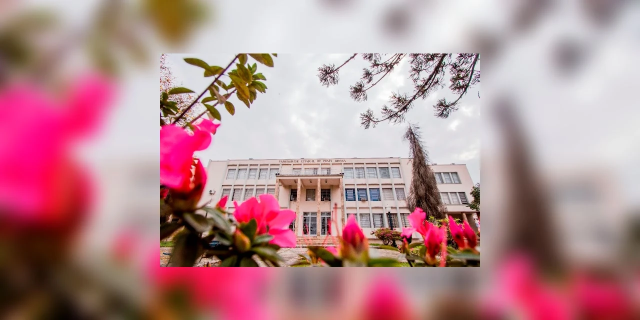 UEPG está entre as melhores universidades do Sul do Brasil, avalia ranking americano