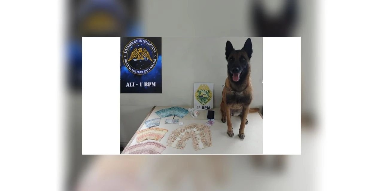 Com ajuda de cão farejador, polícia encontra cocaína escondida dentro de carro em PG
