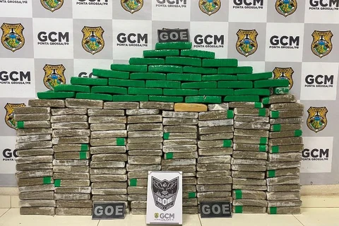 GCM apreende mais de 113Kg de drogas em PG; uma pessoa foi presa