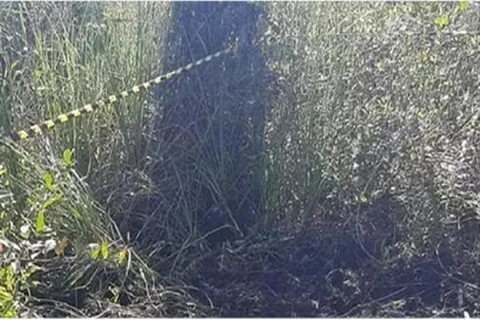 Corpo de homem é encontrado em mata na Dona Luiza, em PG