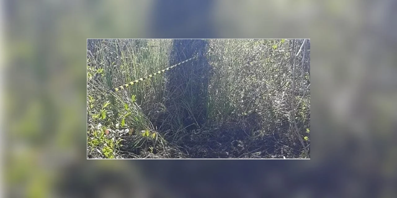 Corpo de homem é encontrado em mata na Dona Luiza, em PG
