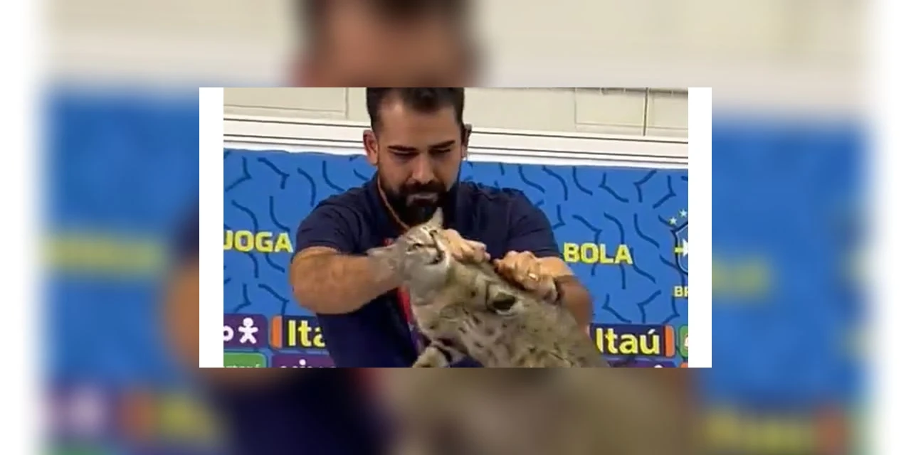 Assessor da CBF joga gato no chão e causa polêmica durante coletiva de Vinicius Jr; assista!