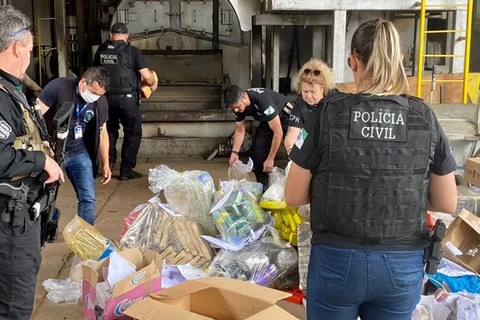 Polícia Civil incinera mais de uma tonelada de drogas, em Ponta Grossa