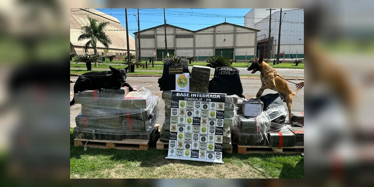 Cão farejador auxilia na apreensão de 1,4 tonelada de maconha
