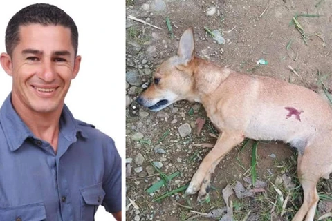 Vereador atira e mata cachorra do vizinho no Paraná