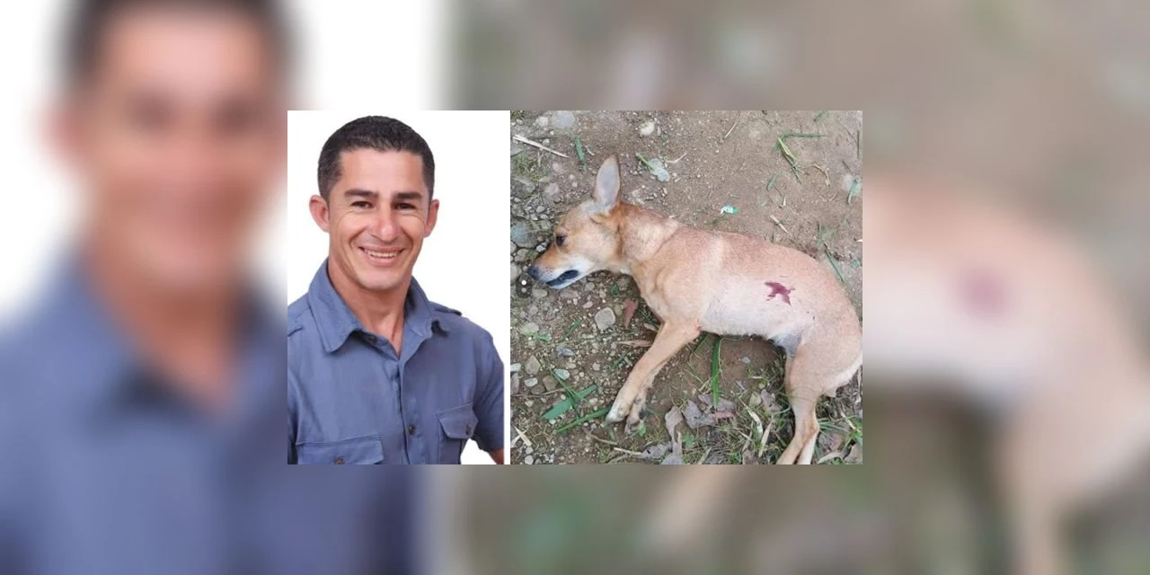 Vereador atira e mata cachorra do vizinho no Paraná