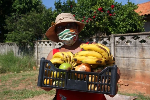 Programa Feira Verde troca mais de 1 milhão de quilos de alimento por recicláveis em 2022