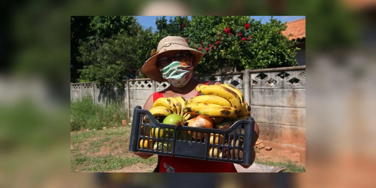 Programa Feira Verde troca mais de 1 milhão de quilos de alimento por recicláveis em 2022