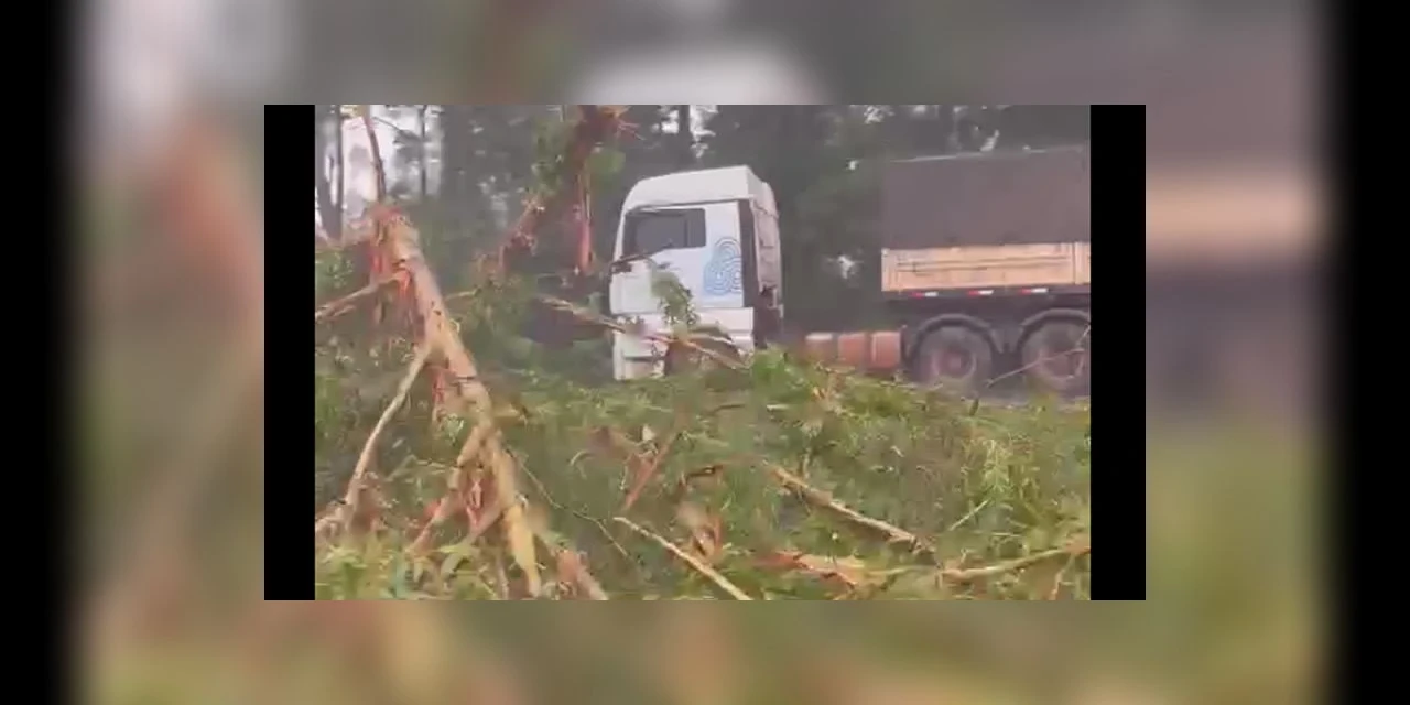 VIDEO: Após queda de arvores trecho da BR-376 é interditado